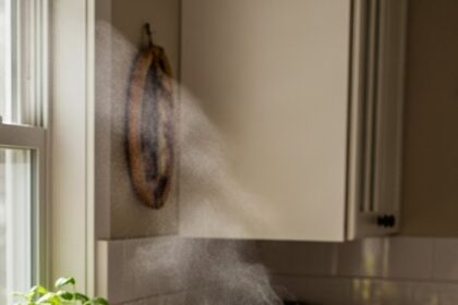 Chicken Simple Recipes