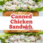Canned Chicken Sandwich Recipes