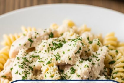 Canned Chicken Alfredo Recipes