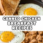 Canned Chicken Breakfast Recipes