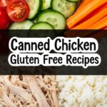 Canned Chicken Gluten Free Recipes