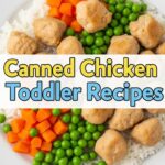 Canned Chicken Toddler Recipes