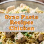 Orzo Pasta Recipes Chicken