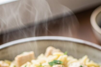 Orzo Pasta Recipes Chicken