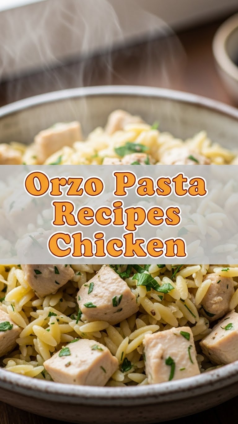Orzo Pasta Recipes Chicken