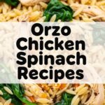 Orzo Chicken Spinach Recipes