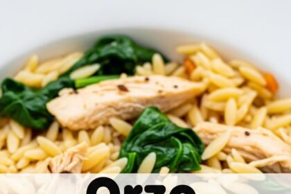 Orzo Chicken Spinach Recipes