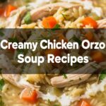 Creamy Chicken Orzo Soup Recipes