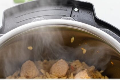 Instapot Chicken Orzo Recipes