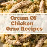 Cream Of Chicken Orzo Recipes