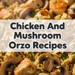 Chicken And Mushroom Orzo Recipes