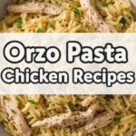 Orzo Pasta Chicken Recipes