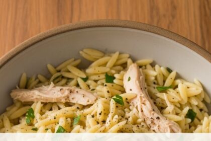 Orzo Pasta Chicken Recipes