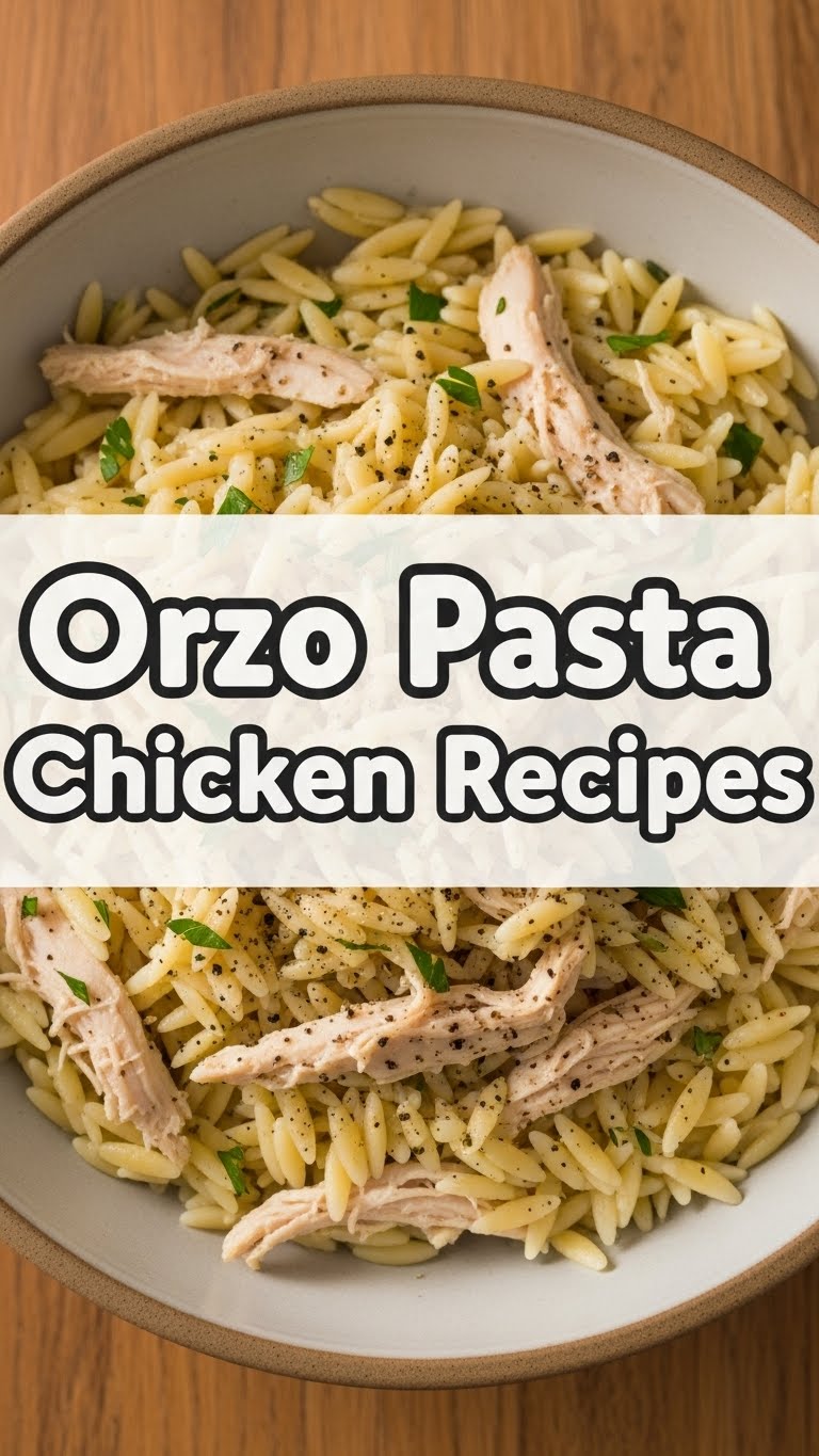 Orzo Pasta Chicken Recipes