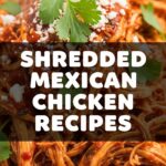 Shredded Mexican Chicken Recipes