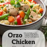 Orzo With Chicken Recipes