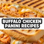 Buffalo Chicken Panini Recipes