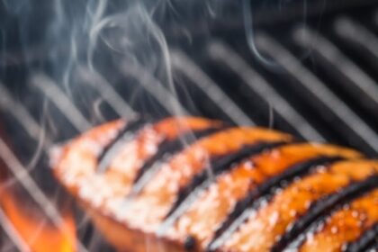 BBQ Grilled Chicken Recipes