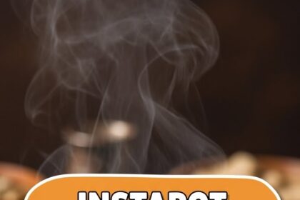 Instapot Slow Cooker Chicken Recipes