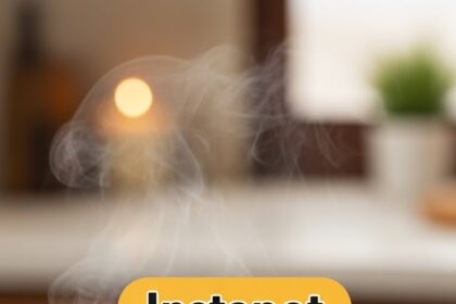 Instapot Chicken And Stuffing Recipes