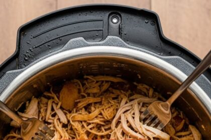Pulled Chicken Instapot Recipes