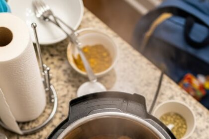 Quick Chicken Instapot Recipes