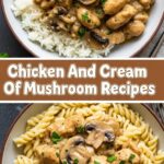 Chicken And Cream Of Mushroom Recipes