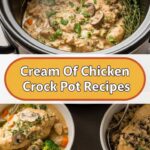 Cream Of Chicken Crock Pot Recipes