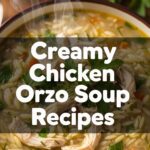 Creamy Chicken Orzo Soup Recipes