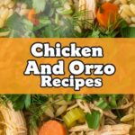Chicken And Orzo Recipes