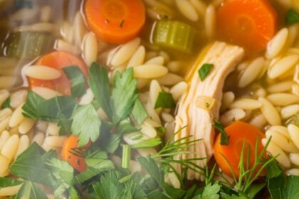 Chicken And Orzo Recipes