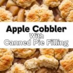 Apple Cobbler With Canned Pie Filling
