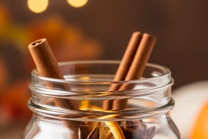 Pumpkin Pie Spice Recipe With Cinnamon