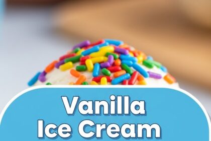 Vanilla Ice Cream With Chocolate Sprinkles
