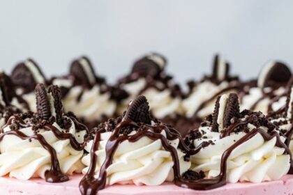 Ice Cream Cake With Oreo Crust
