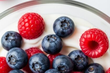 Frozen Yogurt With Small Fruits