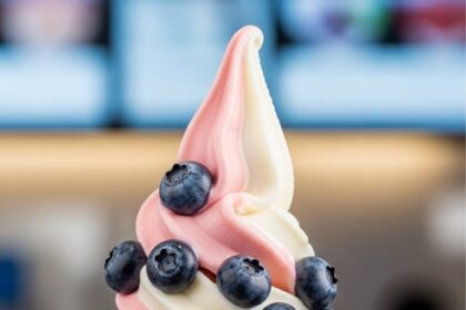 Soft Serve Ice Cream With Fruit