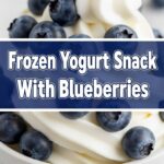Frozen Yogurt Snack With Blueberries