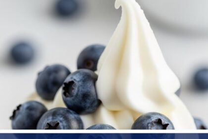 Frozen Yogurt Snack With Blueberries