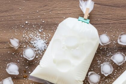Ice Cream In A Bag With Milk