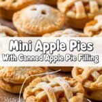 Mini Apple Pies With Canned Apple Pie Filling