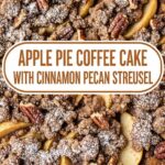 Apple Pie Coffee Cake With Cinnamon Pecan Streusel