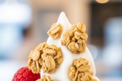 Frozen Yogurt With Berries And Granola