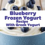 Blueberry Frozen Yogurt Recipe With Greek Yogurt