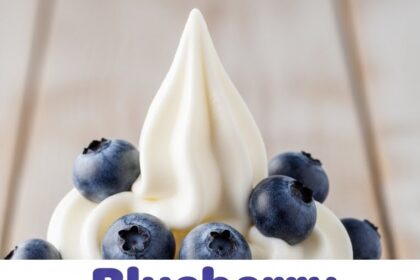 Blueberry Frozen Yogurt Recipe With Greek Yogurt