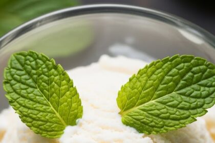 Vanilla Ice Cream With Mint Garnish