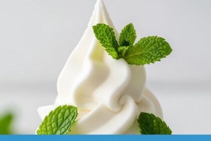 Frozen Yogurt With Mint Garnish