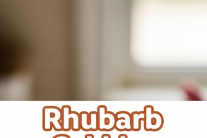 Rhubarb Cobbler With Ice Cream