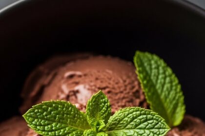 Chocolate Ice Cream With Mint Garnish