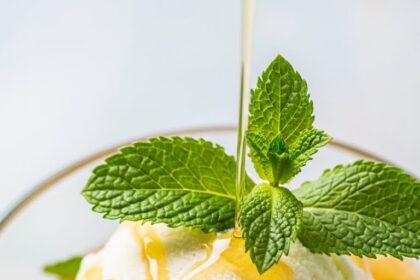 Dessert With Ice Cream And Mint